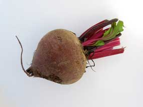 beet