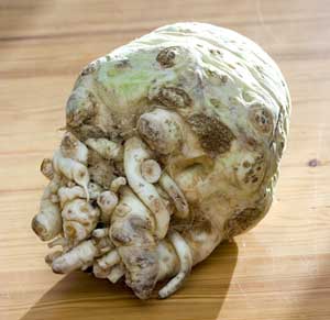 celeriac