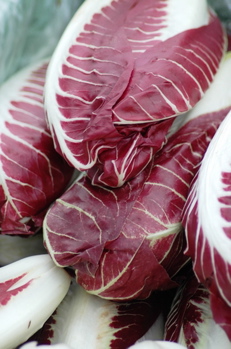 radicchio