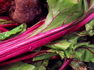 rhubarb