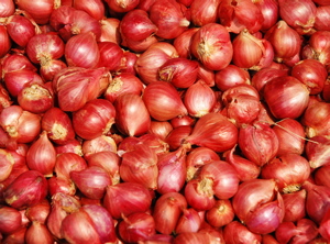 Indian Shallot Information and Facts