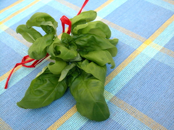 basil