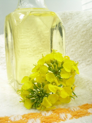 canola-oil