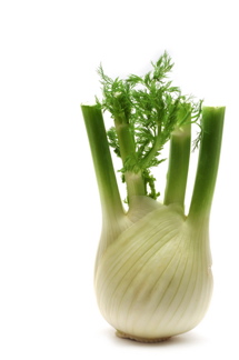 fennel