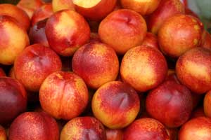 nectarine