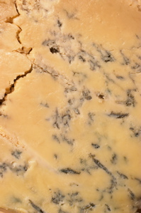 stilton