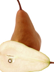 bosc-pear