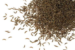 caraway-seed