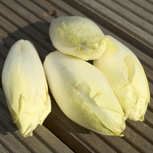 endive