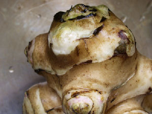 jerusalem-artichoke