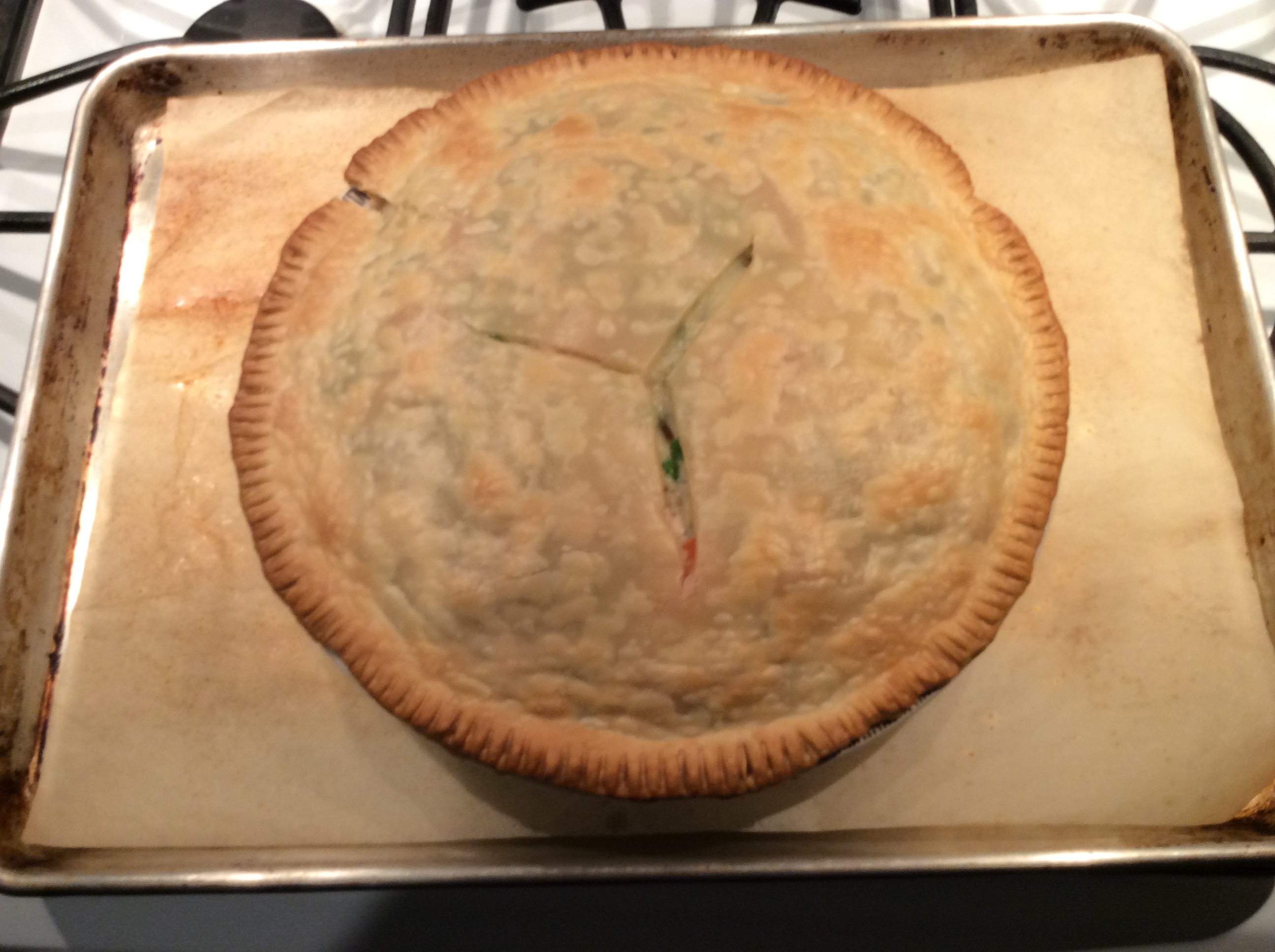 Rons Chicken/Turkey Pot Pie