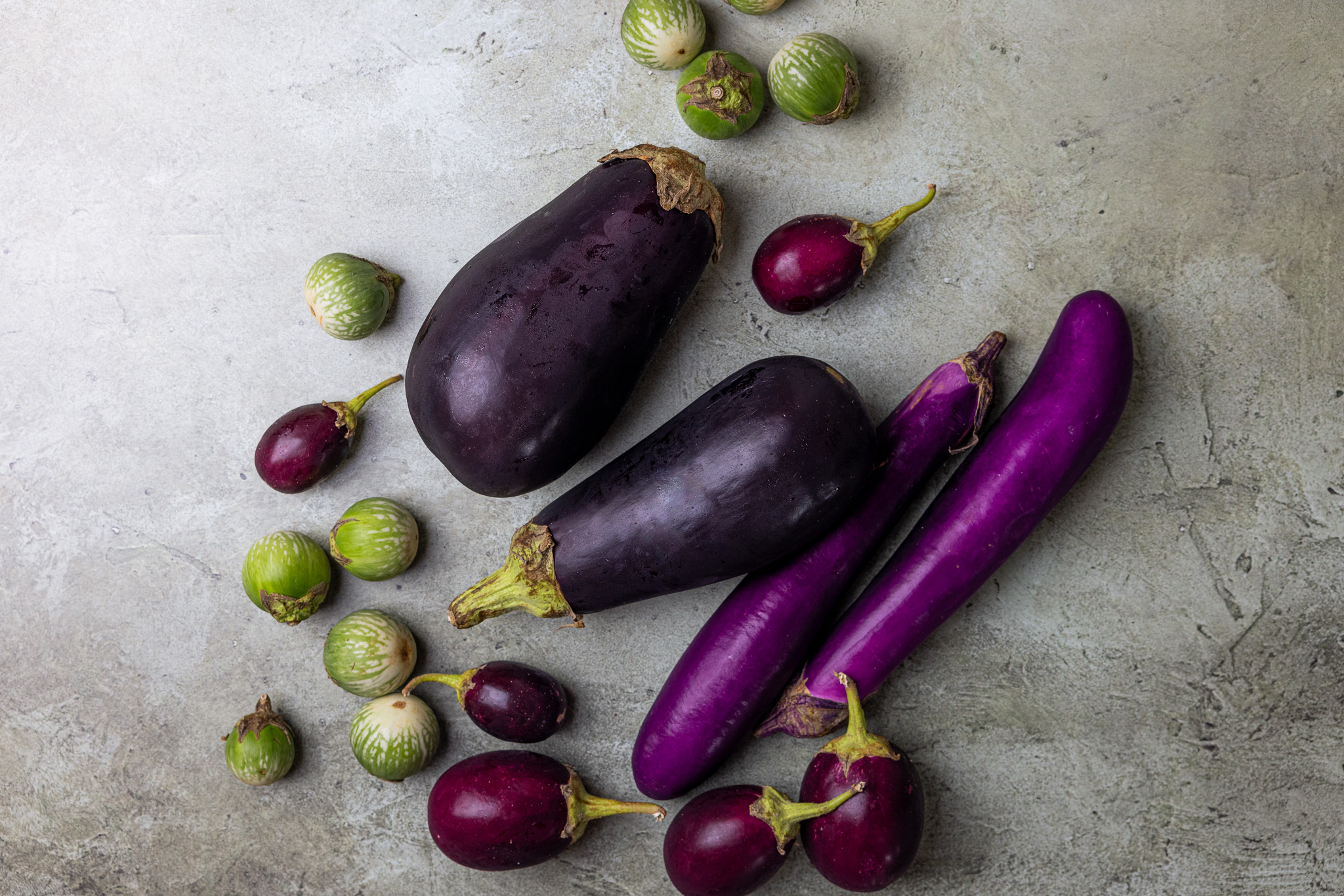 Green Knight Eggplant At Timothy Bottom Blog