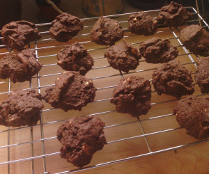 rocco dispirito chocolate chip cookies