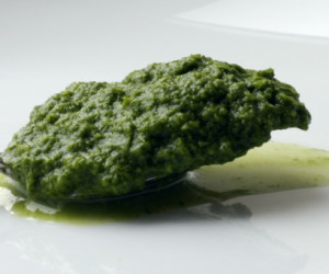 cilantro mint chutney indian cilantro mint chutney indian