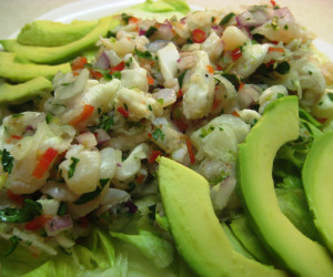 Shrimp Ceviche From Panama