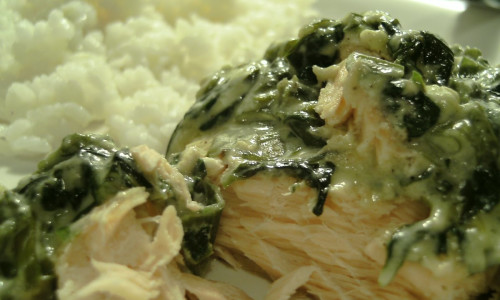 Creamy salmon with baby spinach