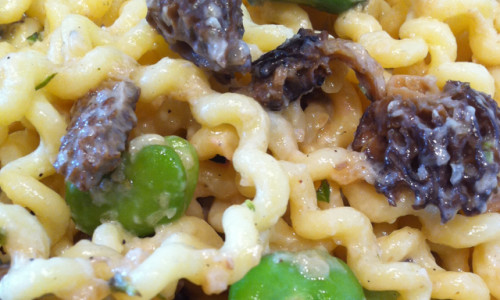 Pasta with Favas, Morels and Mascarpone Cheese